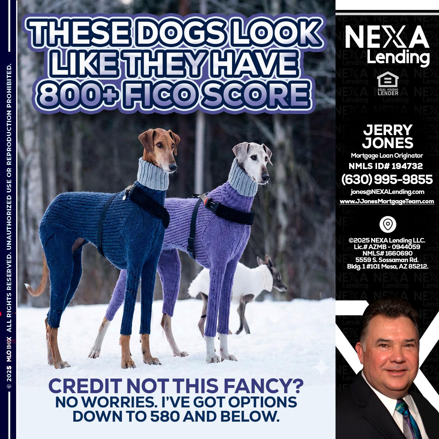 THESE DOGS LOOK - Jerry Jones -Mortgage Loan Originator